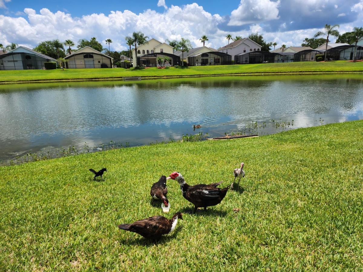 Fully Renovated, Quiet, Spacious Disney Themed Pool Home With Office Kissimmee Extérieur photo